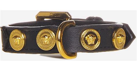 Versace medusa dog collar